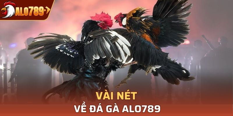 Vài nét về đá gà Alo789